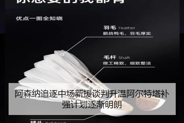 阿森纳追逐中场新援谈判升温阿尔特塔补强计划逐渐明朗